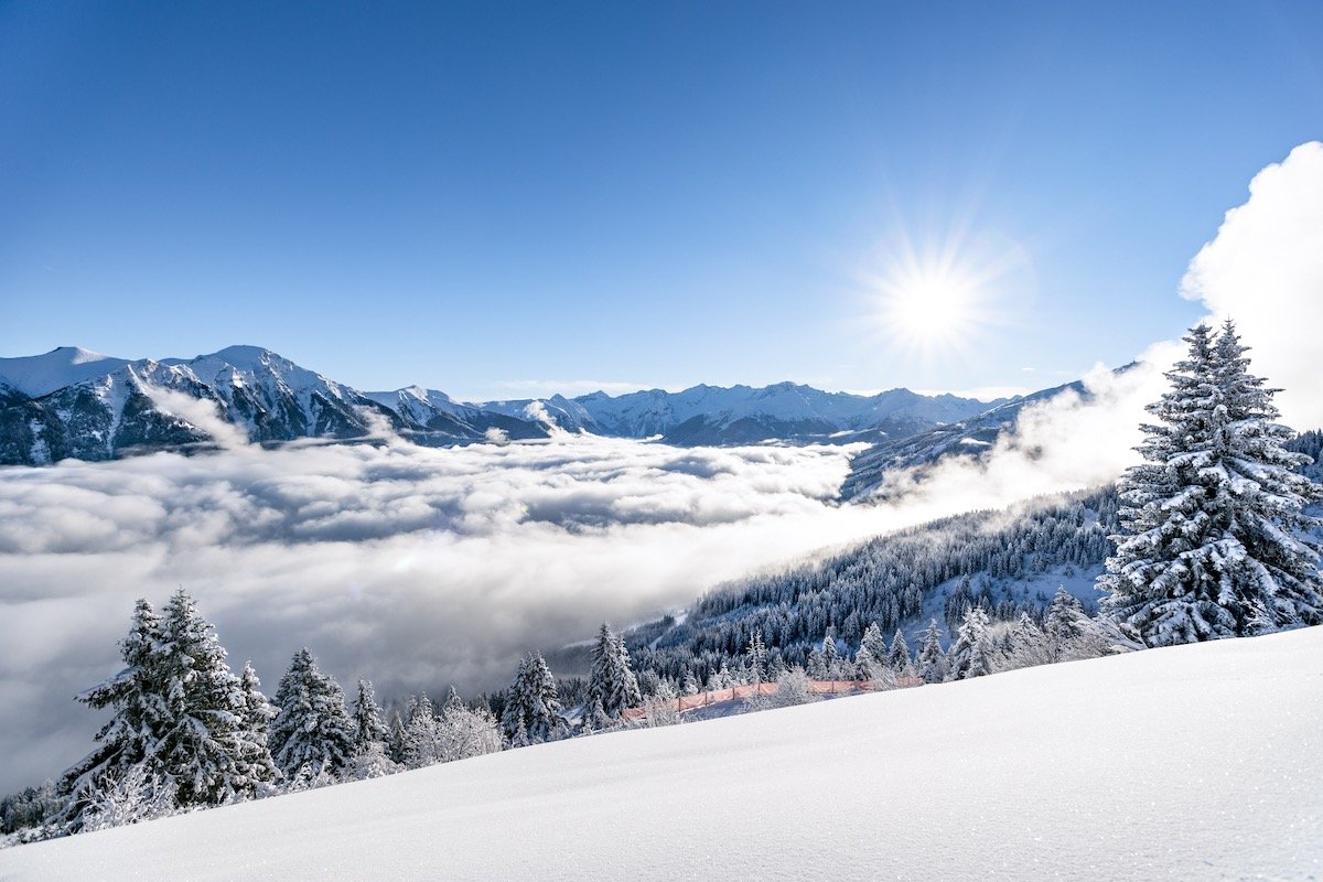 Parquery helps managers protect people, fulfill health regulations and capacity rules