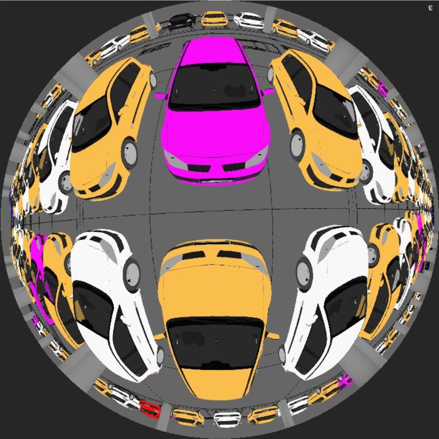 simulated fisheye camera view