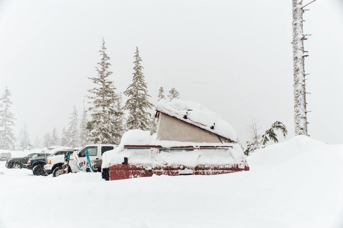 vehicles covered in snow