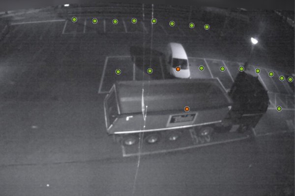 Parquery’s algorithms are robust to image noise, such as spider webs